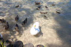 WhatsApp-Image-2023-06-29-at-8.56.36-PM-2