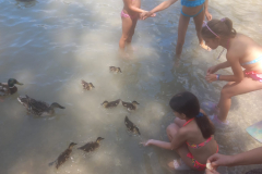 WhatsApp-Image-2023-06-29-at-8.56.37-PM-2