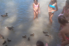 WhatsApp-Image-2023-06-29-at-8.56.38-PM-2