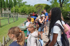 WhatsApp-Image-2023-06-30-at-5.27.09-PM-2