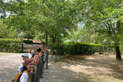 WhatsApp-Image-2023-06-30-at-5.27.15-PM-3