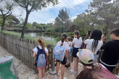 WhatsApp-Image-2023-06-30-at-5.27.16-PM-2