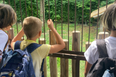 WhatsApp-Image-2023-06-30-at-5.27.16-PM