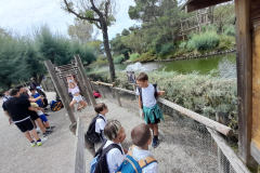 WhatsApp-Image-2023-06-30-at-5.27.17-PM-2