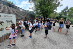 WhatsApp-Image-2023-06-30-at-5.27.17-PM