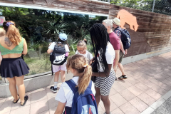 WhatsApp-Image-2023-06-30-at-5.27.18-PM-1