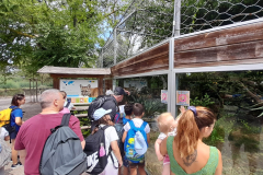 WhatsApp-Image-2023-06-30-at-5.27.18-PM-2