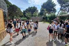 WhatsApp-Image-2023-06-30-at-5.27.19-PM-1