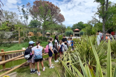 WhatsApp-Image-2023-06-30-at-5.27.19-PM-2