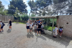 WhatsApp-Image-2023-06-30-at-5.27.19-PM