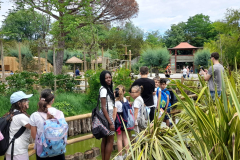 WhatsApp-Image-2023-06-30-at-5.27.20-PM-1