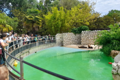 WhatsApp-Image-2023-06-30-at-5.27.20-PM-2