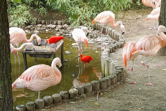 WhatsApp-Image-2023-06-30-at-5.27.20-PM