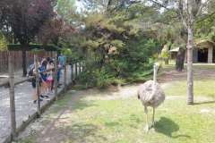 WhatsApp-Image-2023-06-30-at-5.27.21-PM-1