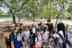 WhatsApp-Image-2023-06-30-at-5.27.21-PM-2