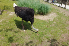 WhatsApp-Image-2023-06-30-at-5.27.21-PM