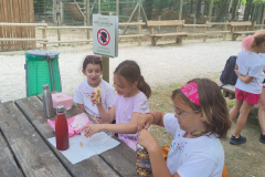 WhatsApp-Image-2023-06-30-at-5.27.32-PM