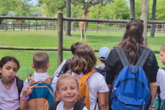 WhatsApp-Image-2023-06-30-at-5.27.35-PM-1