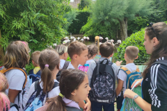 WhatsApp-Image-2023-06-30-at-5.27.35-PM